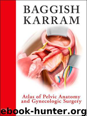 Atlas of Pelvic Anatomy and Gynecologic Surgery, 3e by Michael S. Baggish Md & Mickey M. Karram Md