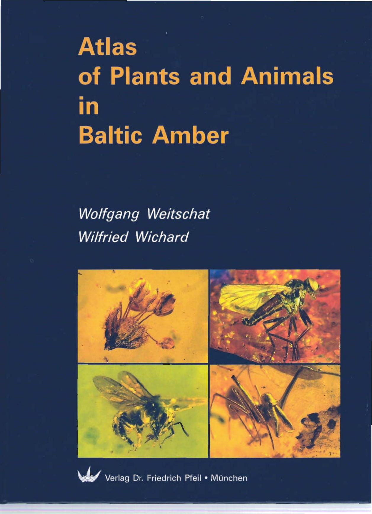 Atlas of Plants and Animals in Baltic Amber by Weitschat Wichard