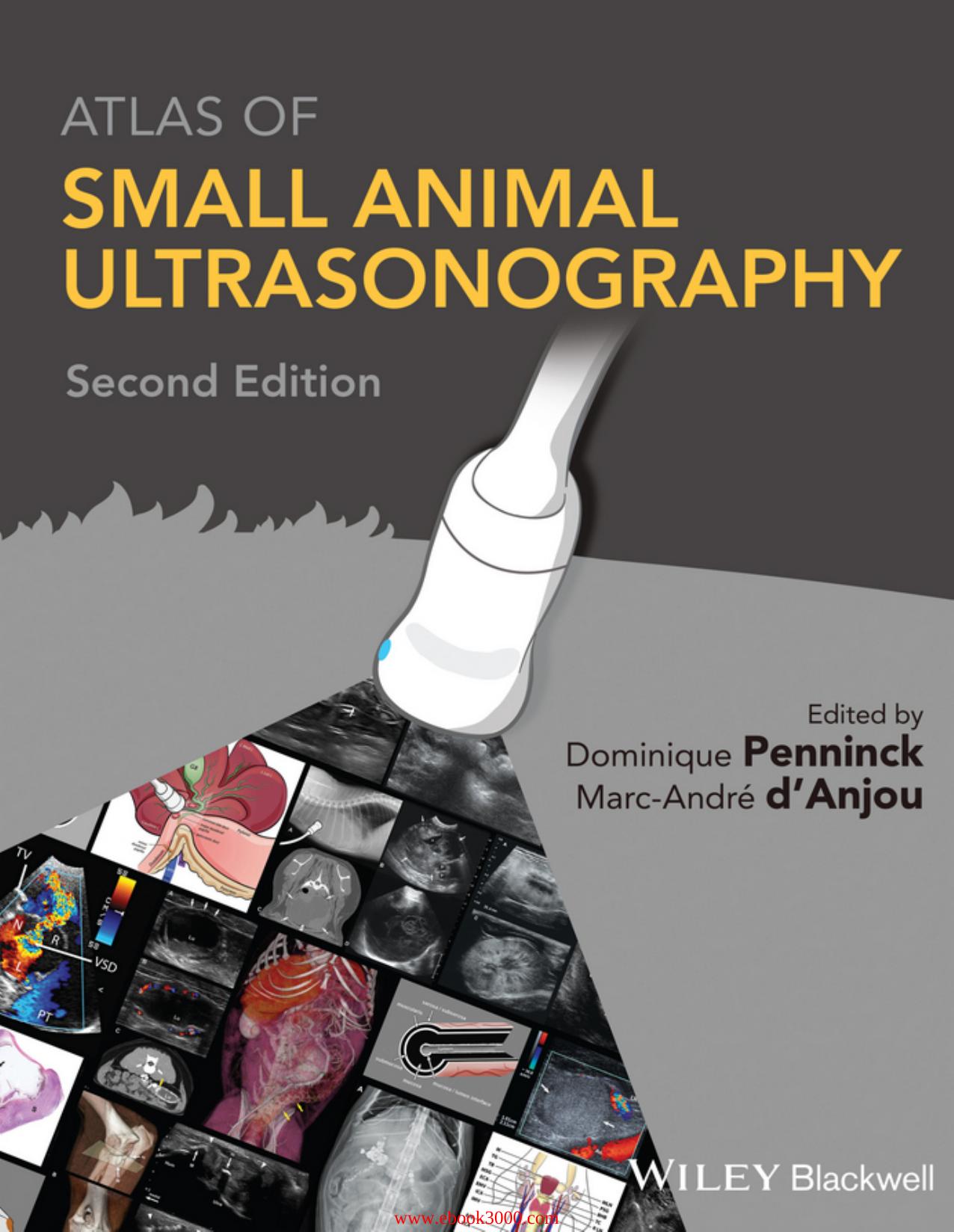 Atlas of Small Animal Ultrasonography, 2nd Edition by Unknow