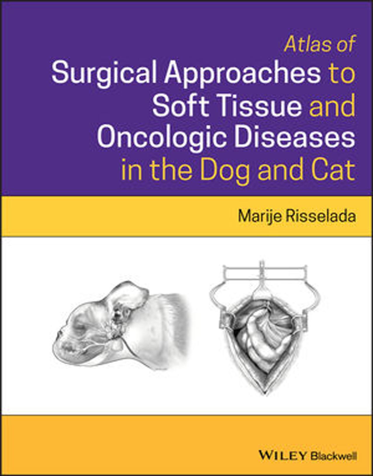 Atlas of Surgical Approaches for Soft Tissue and Oncologic Diseases in the Dog and Cat by Marije Risselada