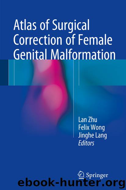 Atlas of Surgical Correction of Female Genital Malformation by Lan Zhu Felix Wong & Jinghe Lang