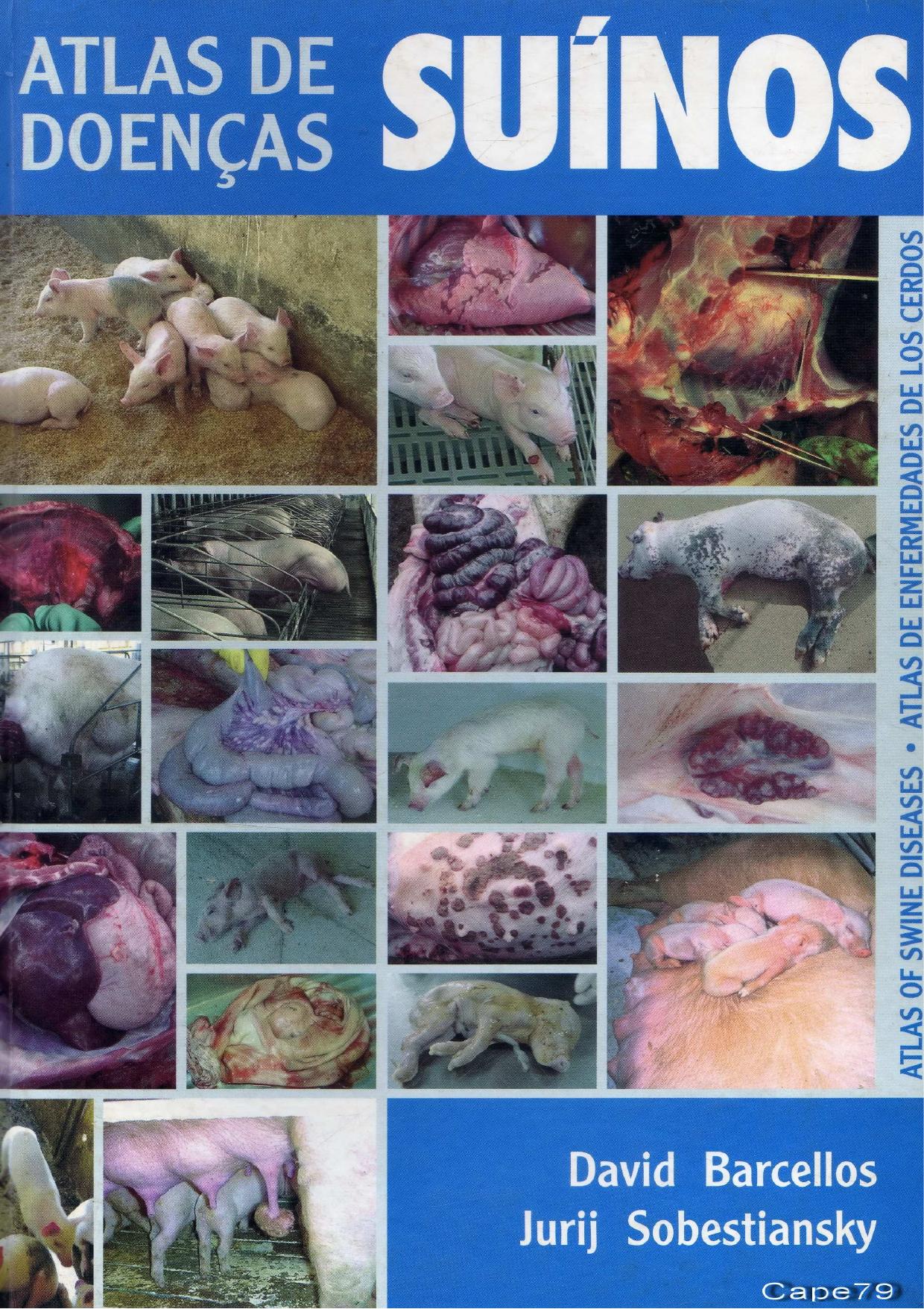 Atlas of Swine Diseases Atlas de Enfermedades de los Cerdos Atlas de Doencas Suinos by David Borcellos Jurij Sobestiansky