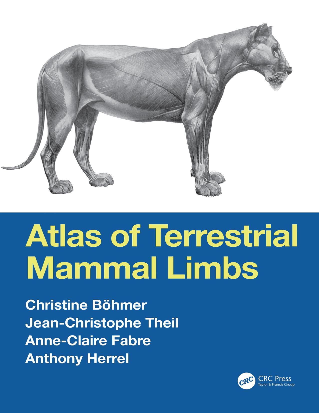 Atlas of Terrestrial Mammal Limbs by Christine Böhmer & Jean-Christophe Theil & Anne-Claire Fabre & Anthony Herrel