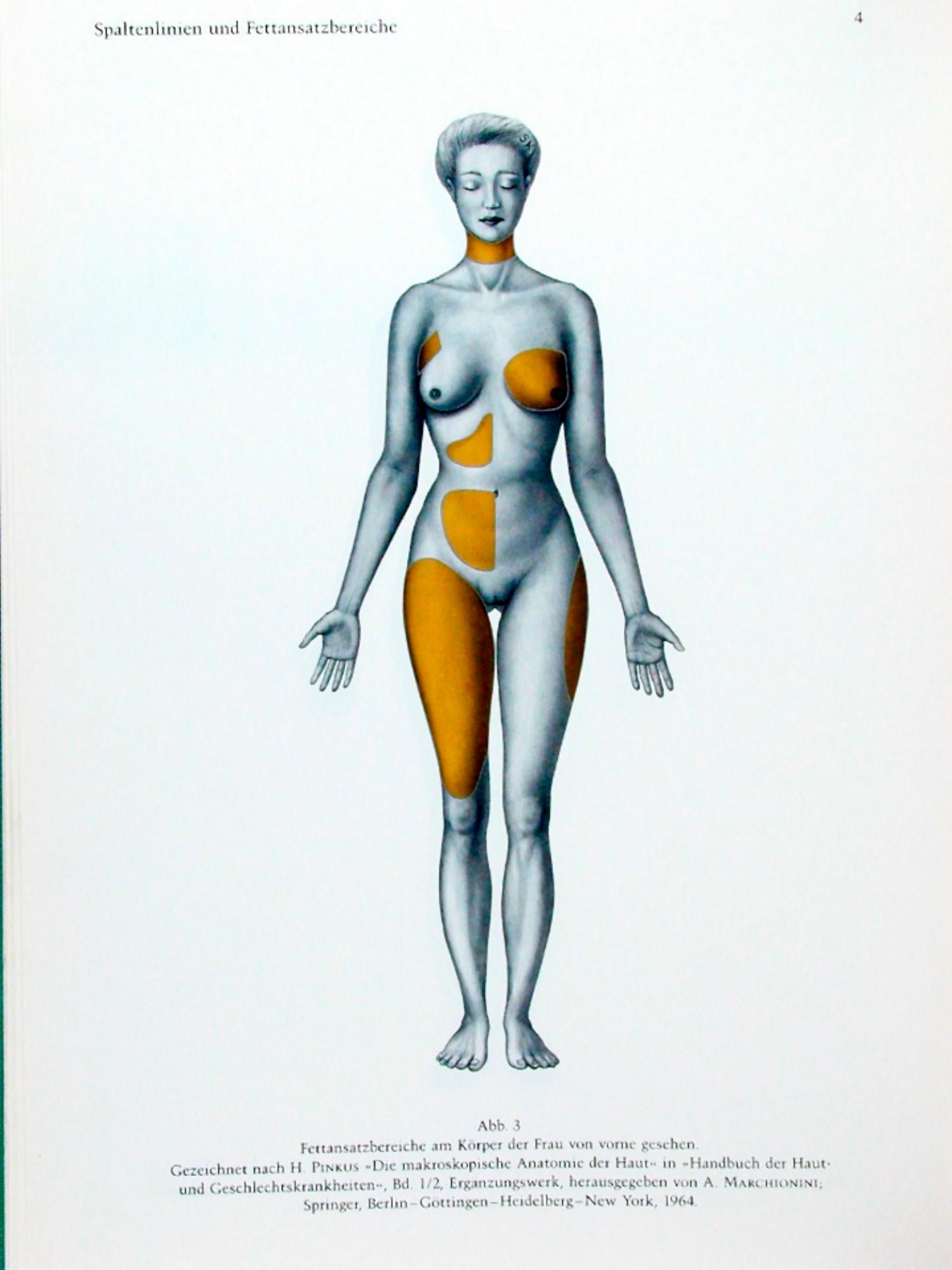Atlas of Topographical and Applied Human Anatomy, Vol. 2: Thorax, Abdomen and Extremities (v. 2) by Eduard Pernkopf