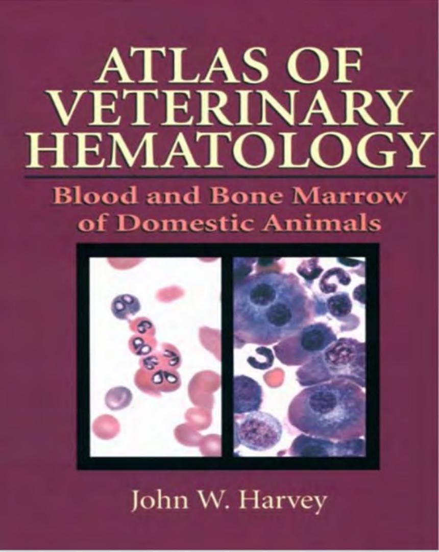 Atlas of Veterinary Hematology: Blood and Bone Marrow of Domestic Animals by John W. Harvey