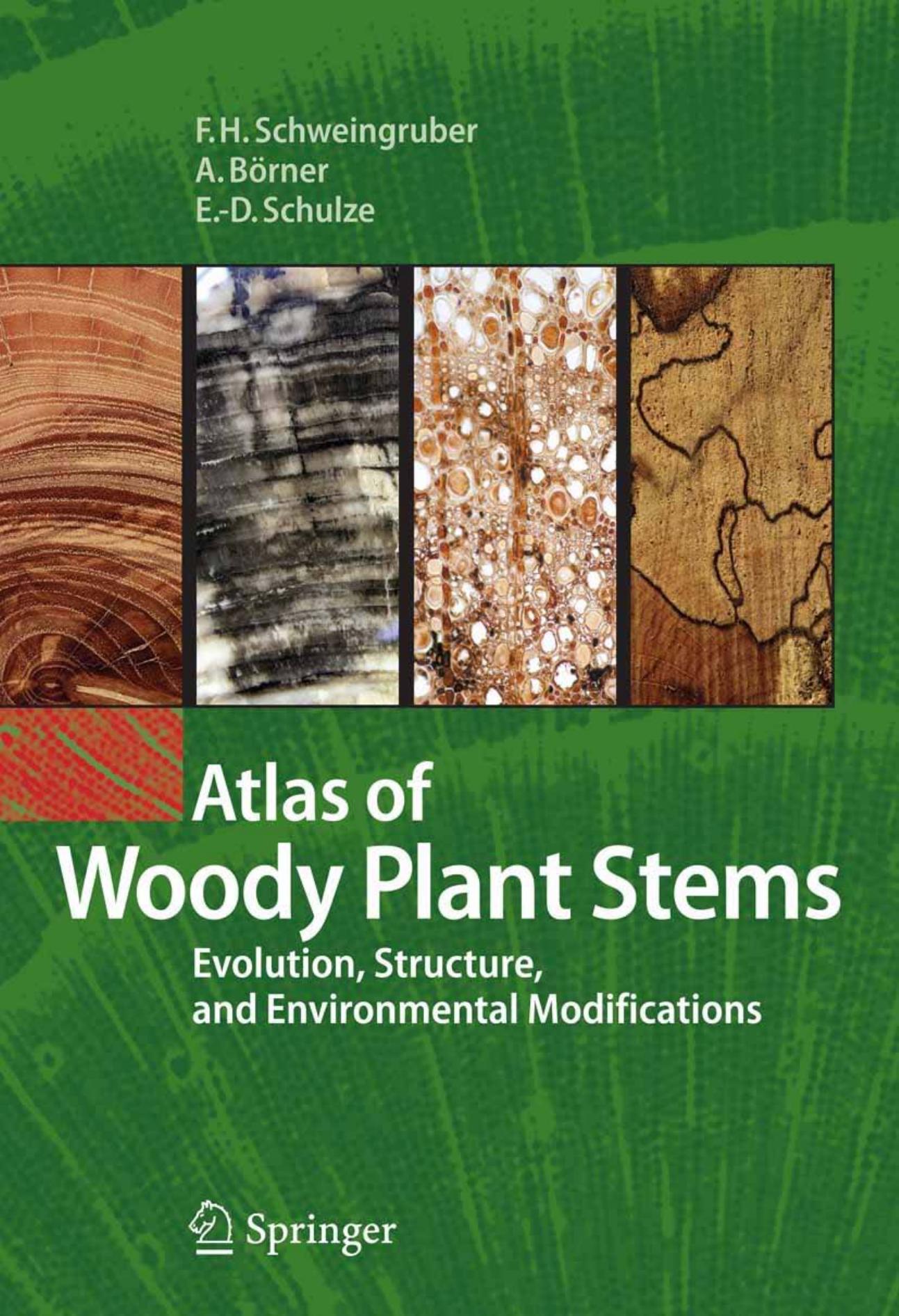 Atlas of Woody Plant Stems: Evolution, Structure, and Environmental Modifications by Fritz Hans Schweingruber Annett Borner Ernst-Detlef Schulze