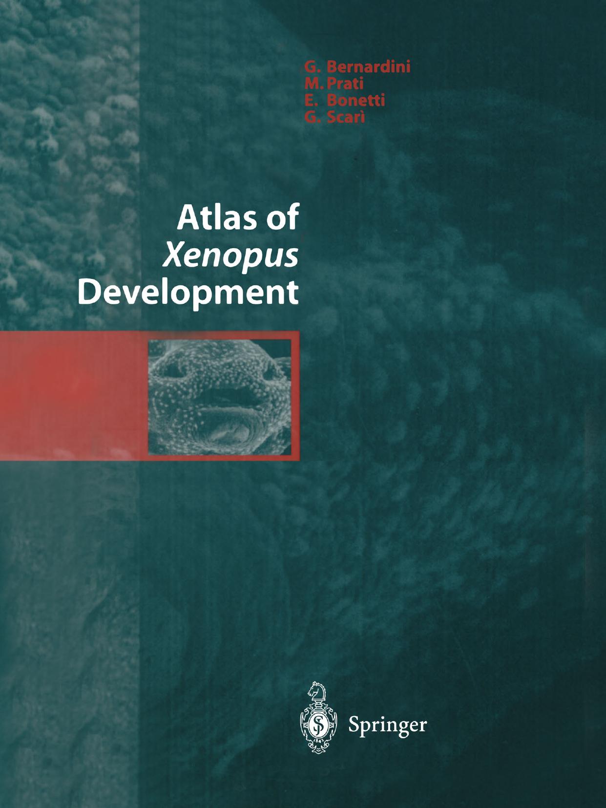 Atlas of Xenopus Development by G. Bernardini M. Prati E. Bonetti G. Scarì (auth.)