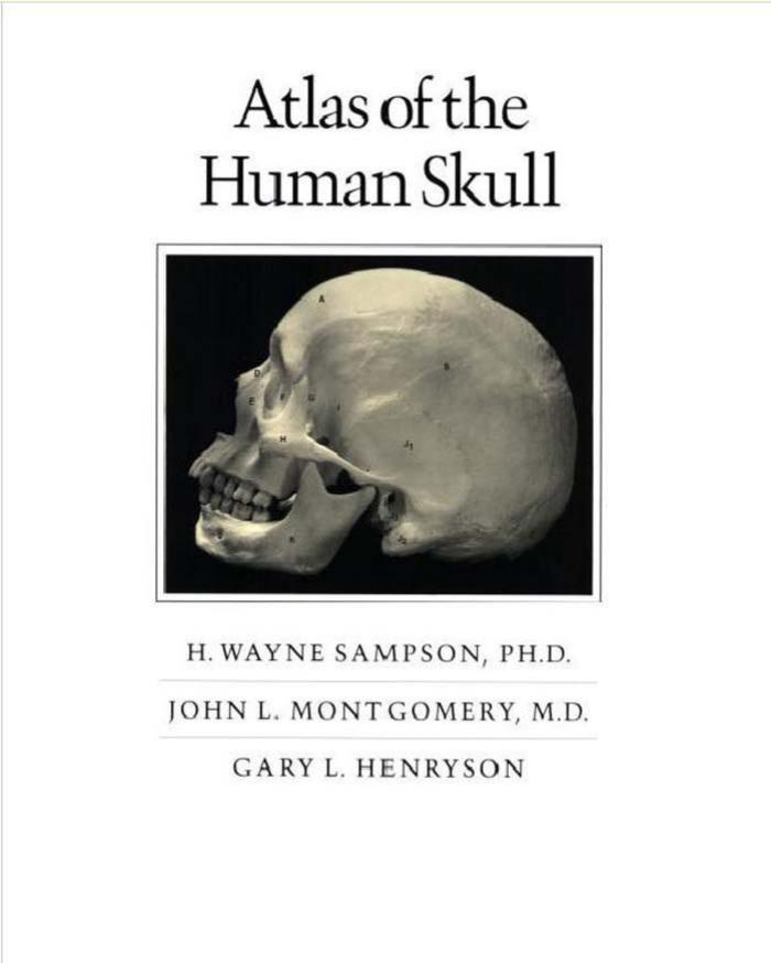 Atlas of the Human Skull by H. Wayne Sampson John L. Montgomery Gary L. Henryson
