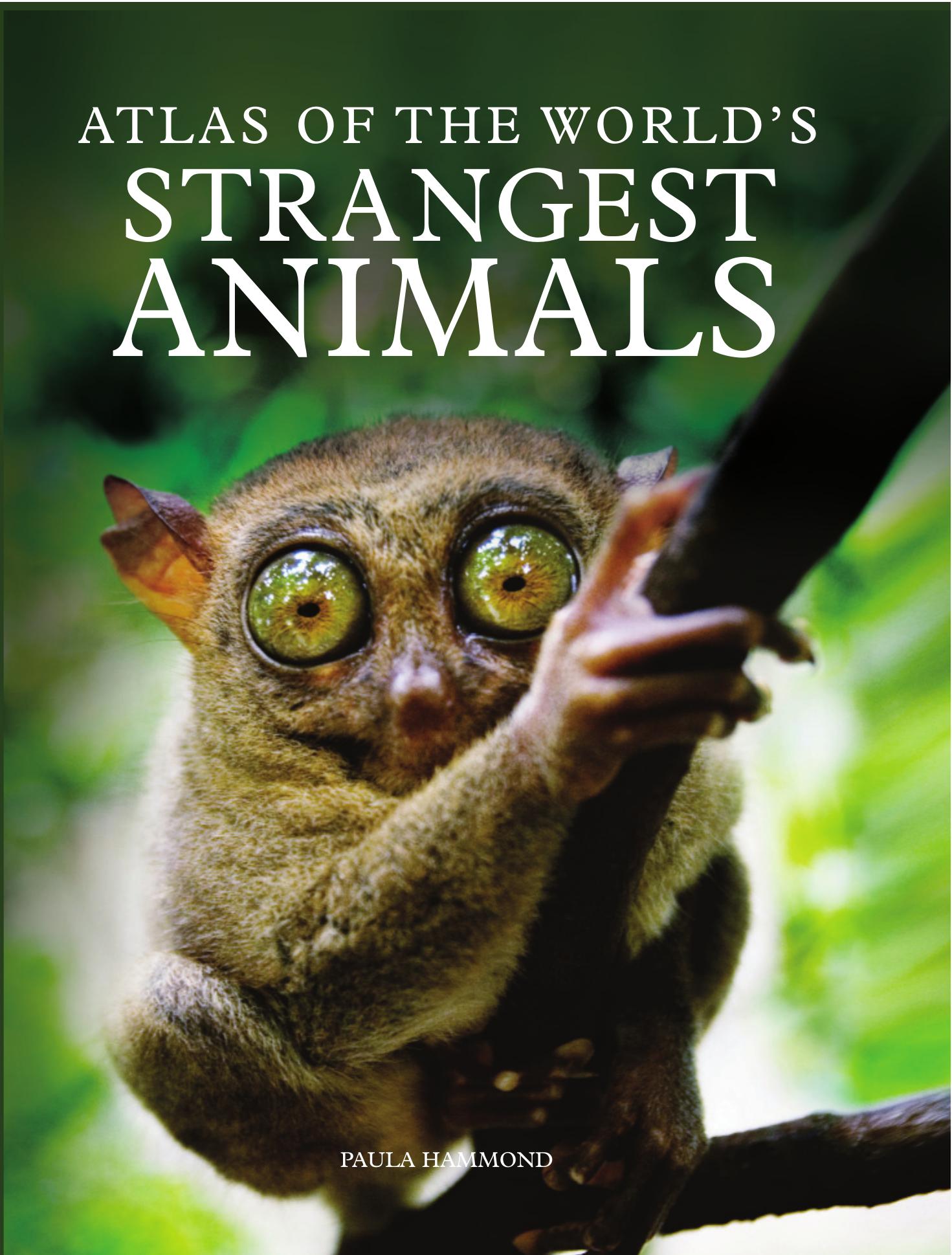 Atlas of the World's Strangest Animals by Paula Hammond