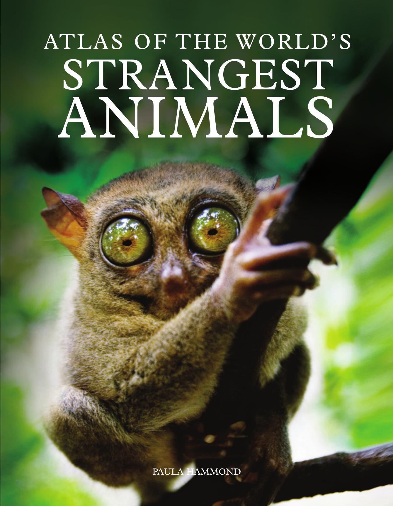 Atlas of the Worldâs Strangest Animals by Paula Hammond