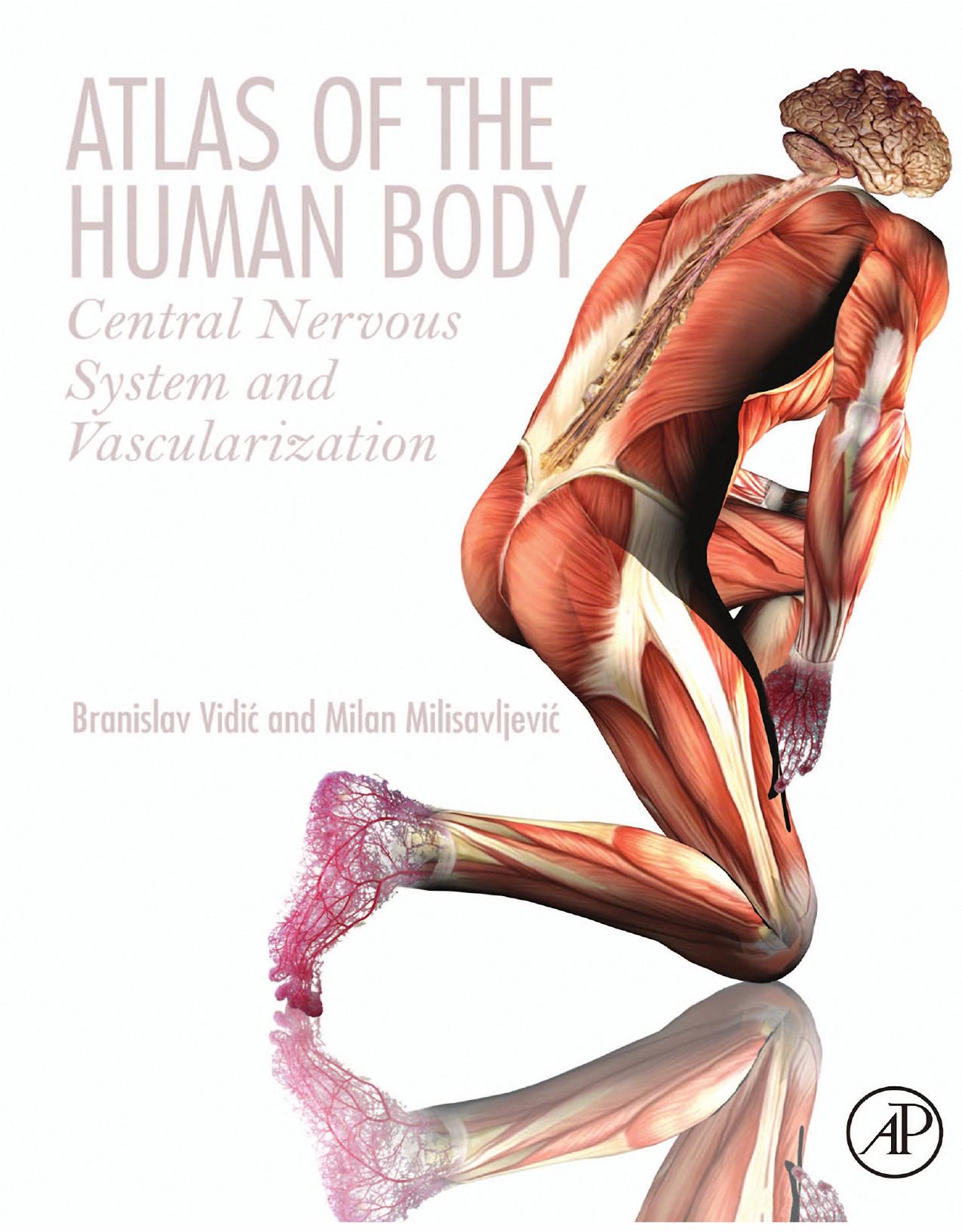 Atlas of the human body : central nervous system and vascularization by Branislav Vidić