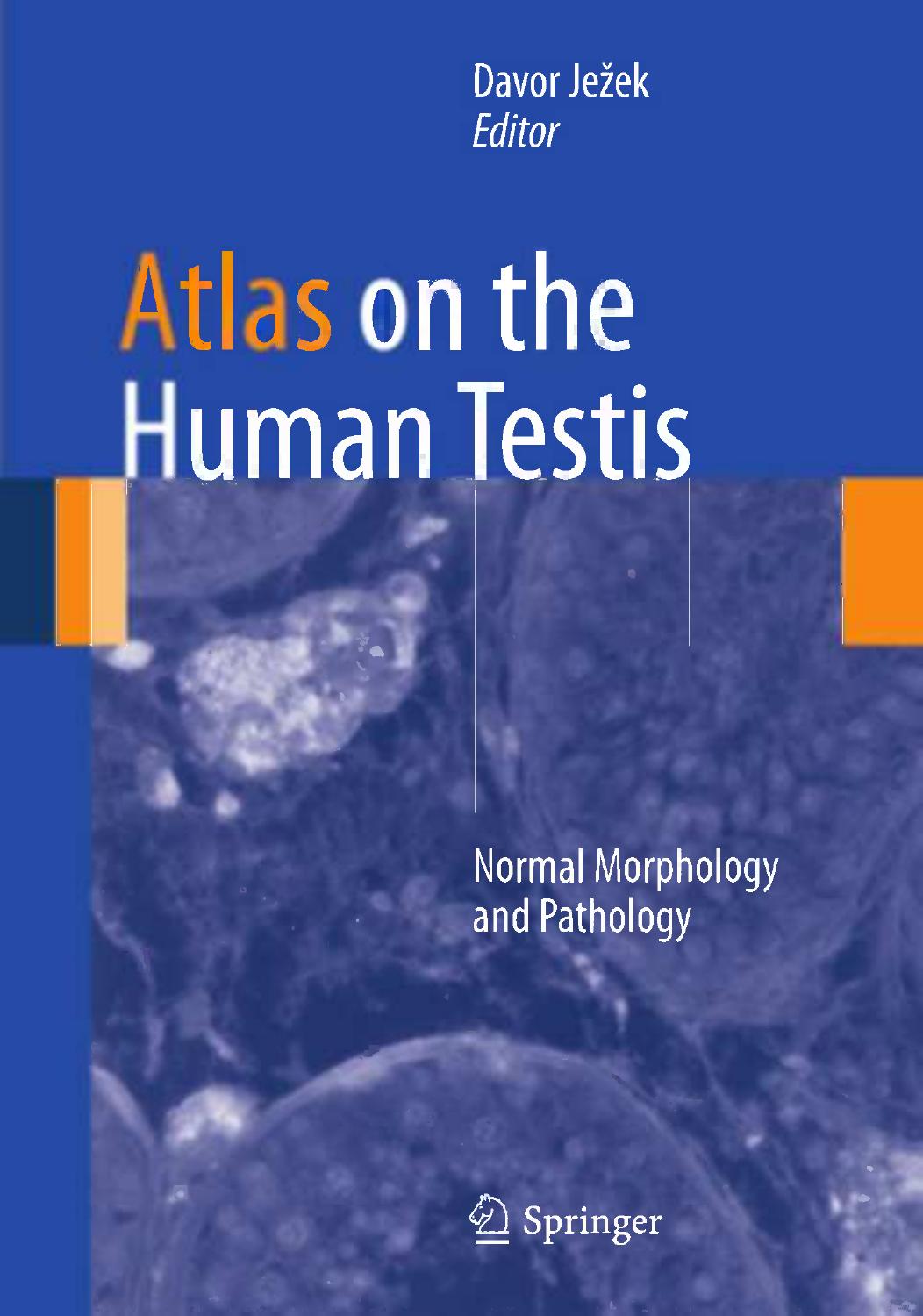 Atlas on the Human Testis: Normal Morphology and Pathology by Ivan Krhen M.D. Ph.D. Andreja Vukasović M.D. (auth.) Davor Ježek (eds.)