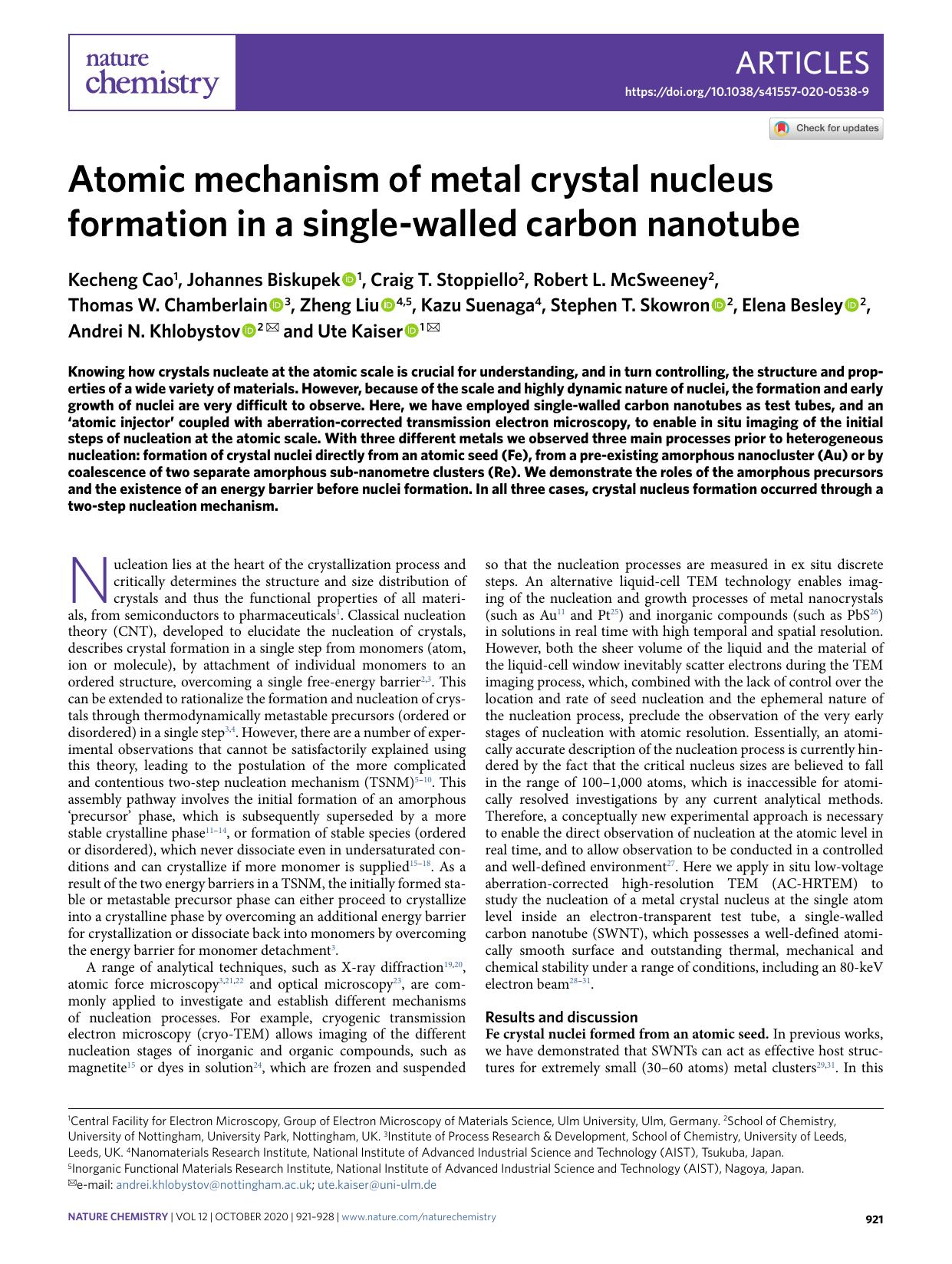 Atomic mechanism of metal crystal nucleus formation in a single-walled carbon nanotube by unknow