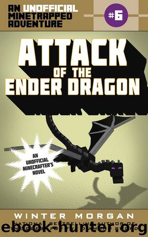 Attack of the Ender Dragon by Winter Morgan