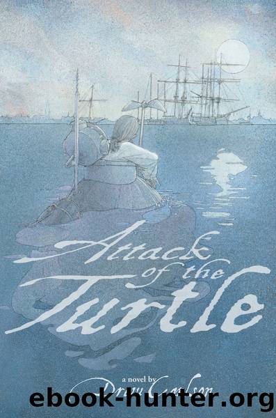 Attack of the Turtle by Drew Carlson