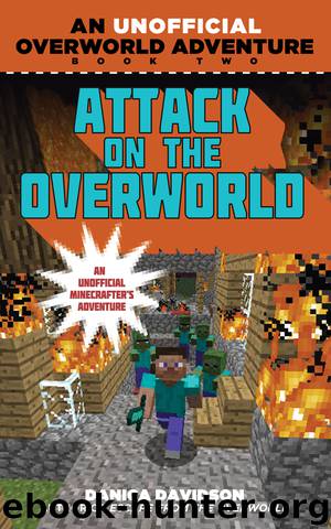 Attack on the Overworld by Danica Davidson