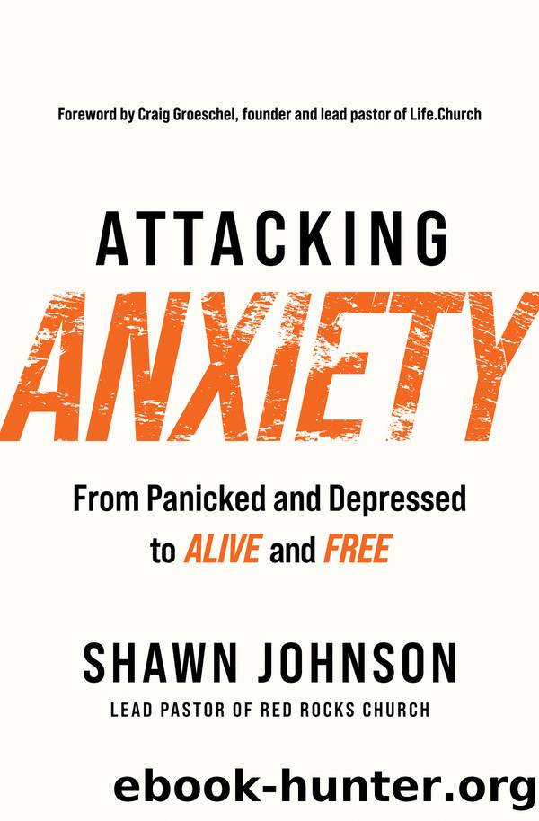 Attacking Anxiety by Shawn Johnson
