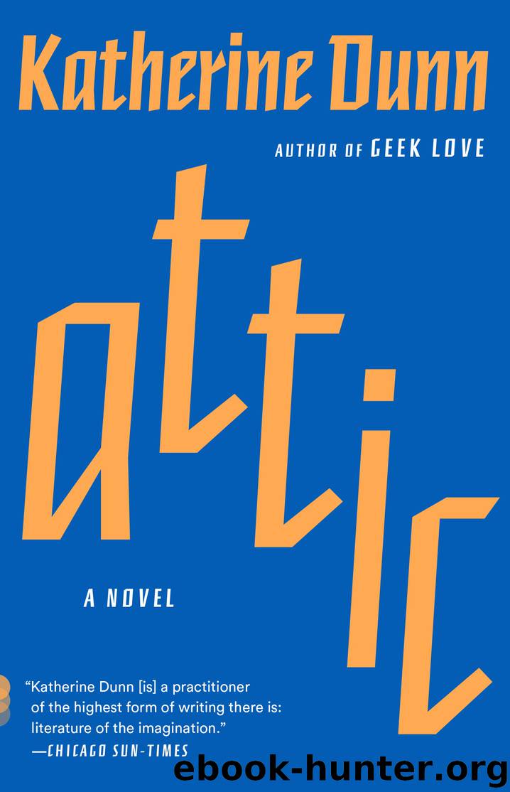 Attic by Katherine Dunn
