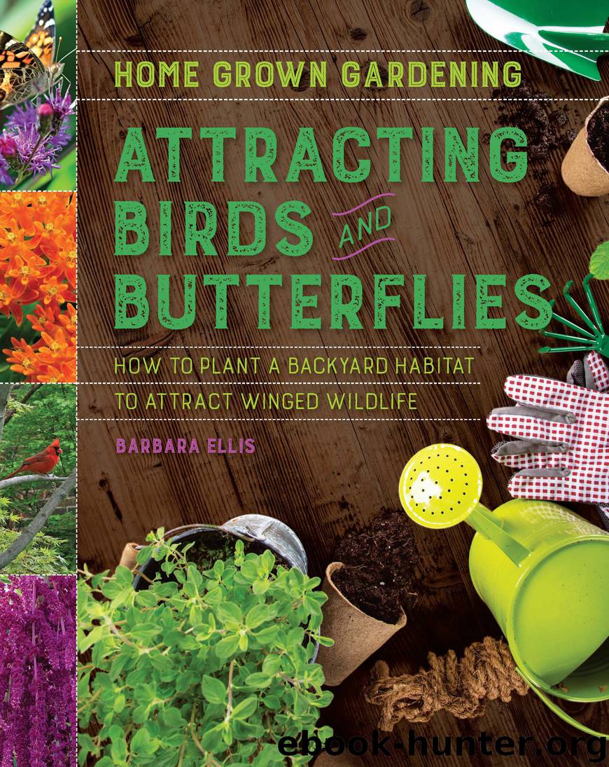 Attracting Birds and Butterflies by Barbara Ellis