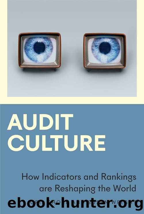 Audit Culture by Cris Shore and Susan Wright