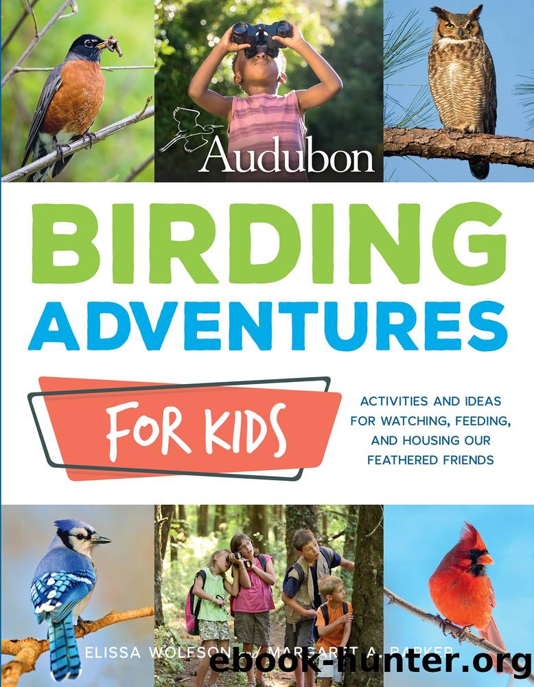 Audubon Birding Adventures for Kids: Activities and Ideas for Watching, Feeding, and Housing Our Feathered Friends by Elissa Ruth Wolfson & Margaret A. Barker