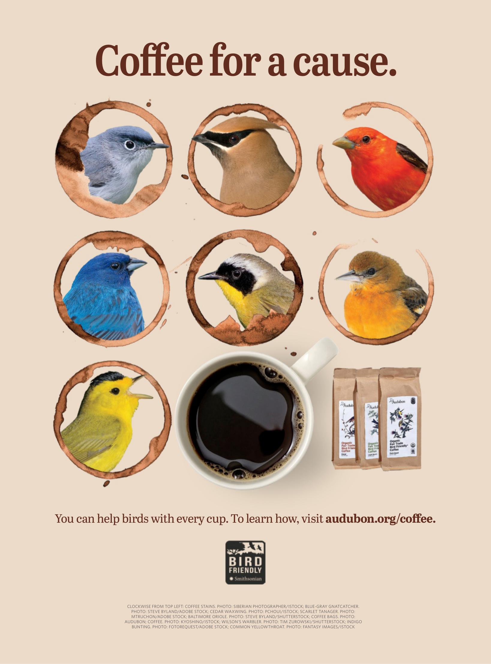 Audubon Magazine - March 2020 by Unknow
