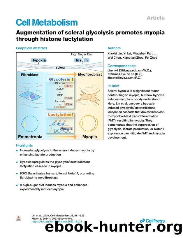 Augmentation of scleral glycolysis promotes myopia through histone lactylation by unknow