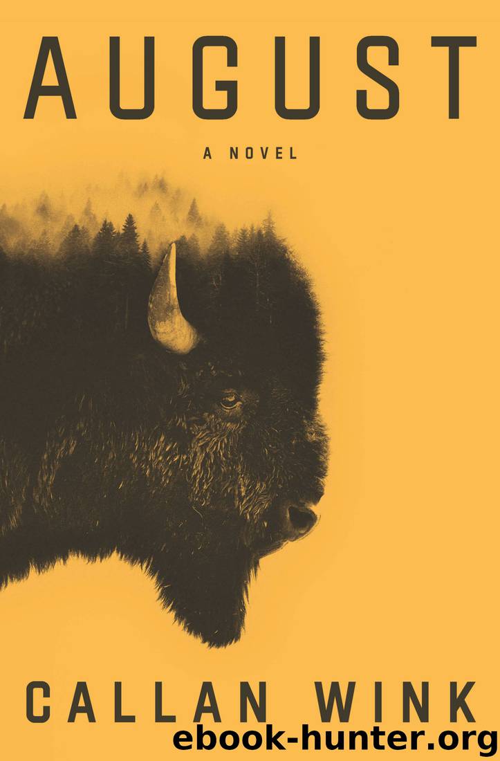 August: A Novel by Callan Wink