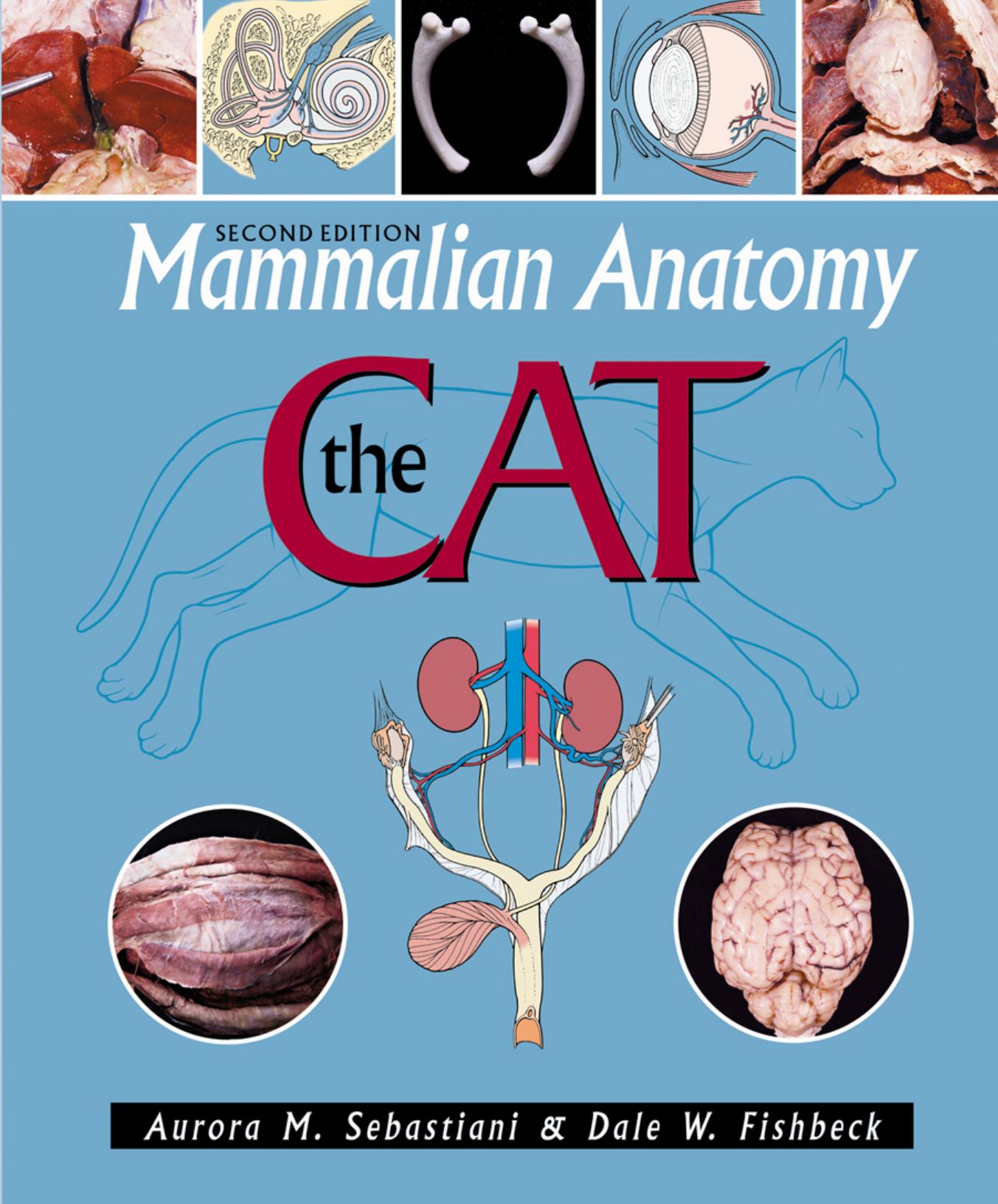 Aurora M. Sebastiani, Dale W. Fishbeck - Mammalian Anatomy. The Cat (2nd ed.) by 2005