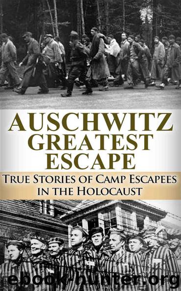 Auschwitz Greatest Escape: True Stories of Camp Escapees in the Holocaust (World War 2, WW2, WWII, Auschwitz, Holocaust, Irma Grese) by Ryan Jenkins