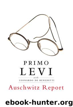 Auschwitz Report by Primo Levi & Leonardo De Benedetti