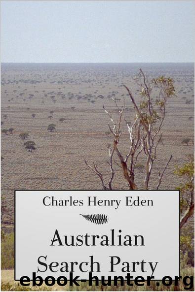 Australian Search Party by Charles Henry Eden