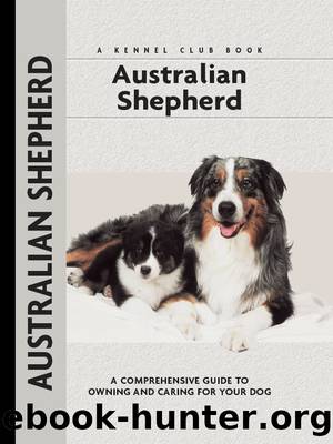 Australian Shepherd by Charlotte Schwartz