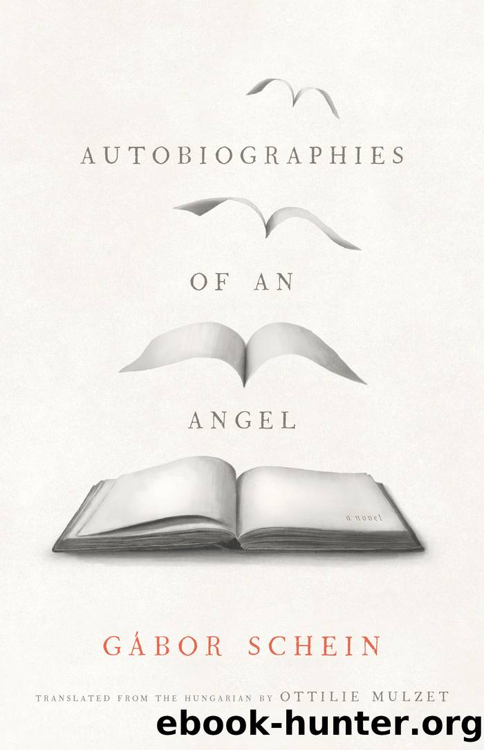 Autobiographies of an Angel: A Novel by Gábor Schein