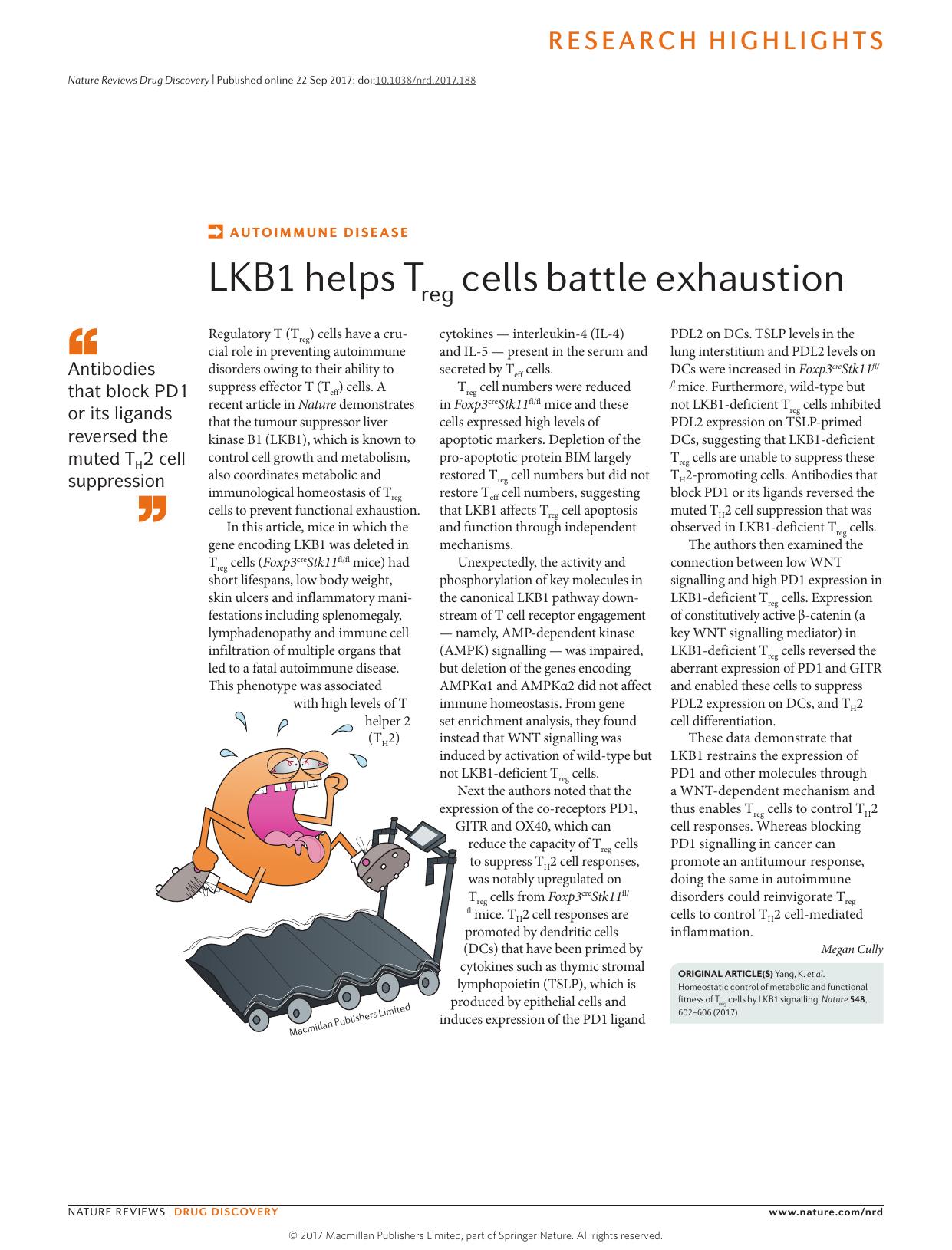Autoimmune disease: LKB1 helps Treg cells battle exhaustion by Megan Cully