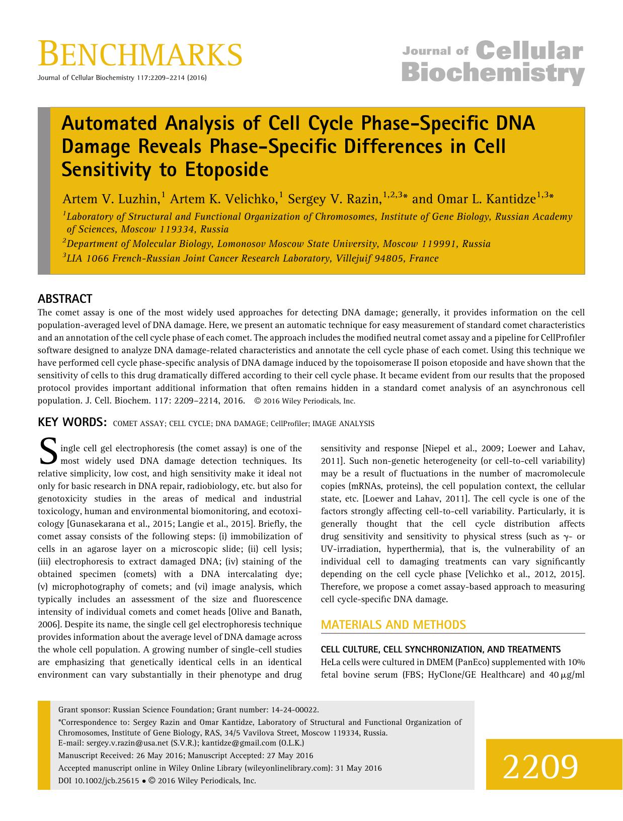 Automated Analysis of Cell Cycle Phase-Specific DNA Damage Reveals Phase-Specific Differences in Cell Sensitivity to Etoposide by Unknown
