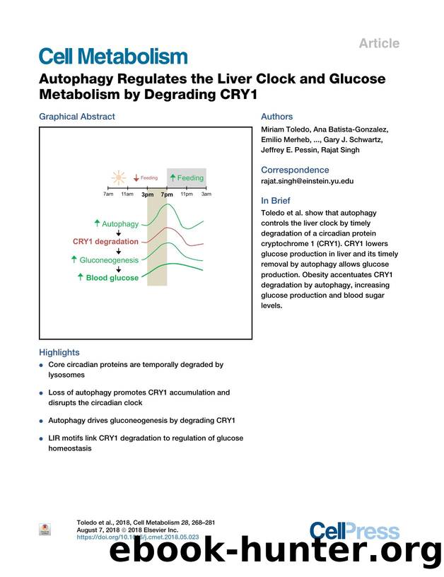 Autophagy Regulates the Liver Clock and Glucose Metabolism by Degrading CRY1 by unknow