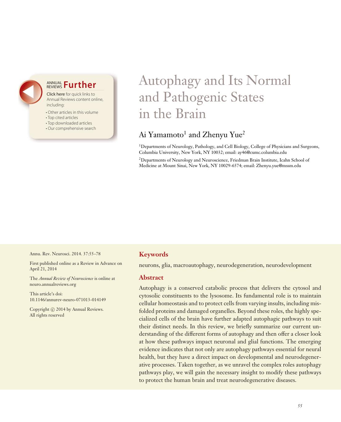 Autophagy and Its Normal and Pathogenic States in the Brain by Ai Yamamoto and Zhenyu Yue