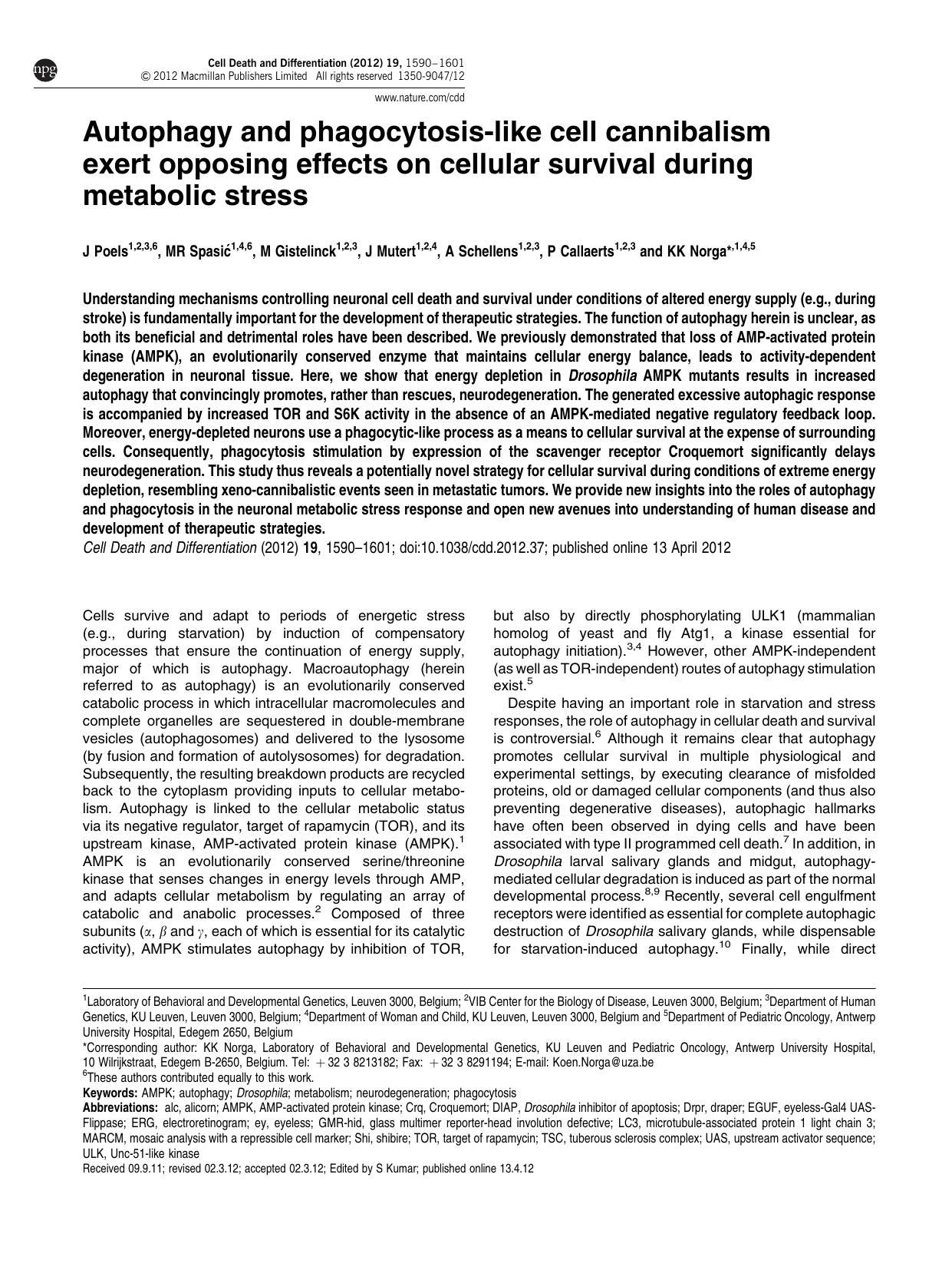 Autophagy and phagocytosis-like cell cannibalism exert opposing effects on cellular survival during metabolic stress by J Poels & M R Spasi&&cacute; & M Gistelinck & J Mutert & A Schellens & P Callaerts & K K Norga