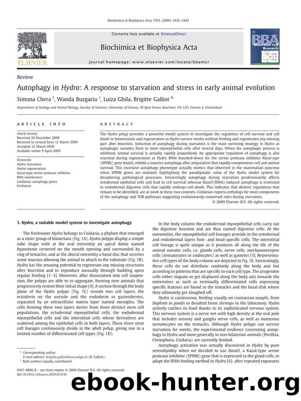 Autophagy in Hydra: A response to starvation and stress in early animal evolution by Simona Chera; Wanda Buzgariu; Luiza Ghila; Brigitte Galliot