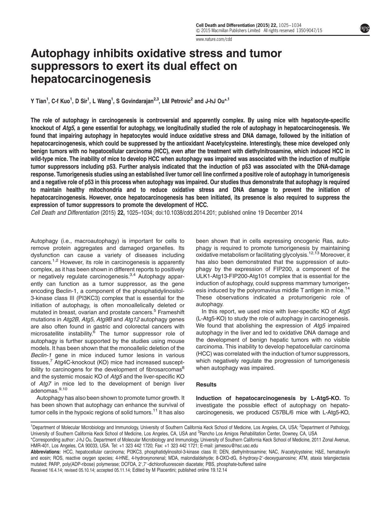 Autophagy inhibits oxidative stress and tumor suppressors to exert its dual effect on hepatocarcinogenesis by Y Tian & C-f Kuo & D Sir & L Wang & S Govindarajan & L M Petrovic & J-h J Ou