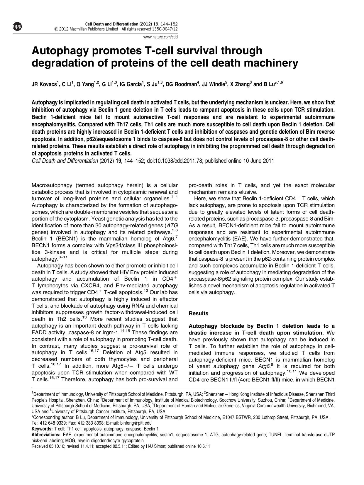 Autophagy promotes T-cell survival through degradation of proteins of the cell death machinery by J R Kovacs & C Li & Q Yang & G Li & I G Garcia & S Ju & D G Roodman & J J Windle & X Zhang & B Lu &