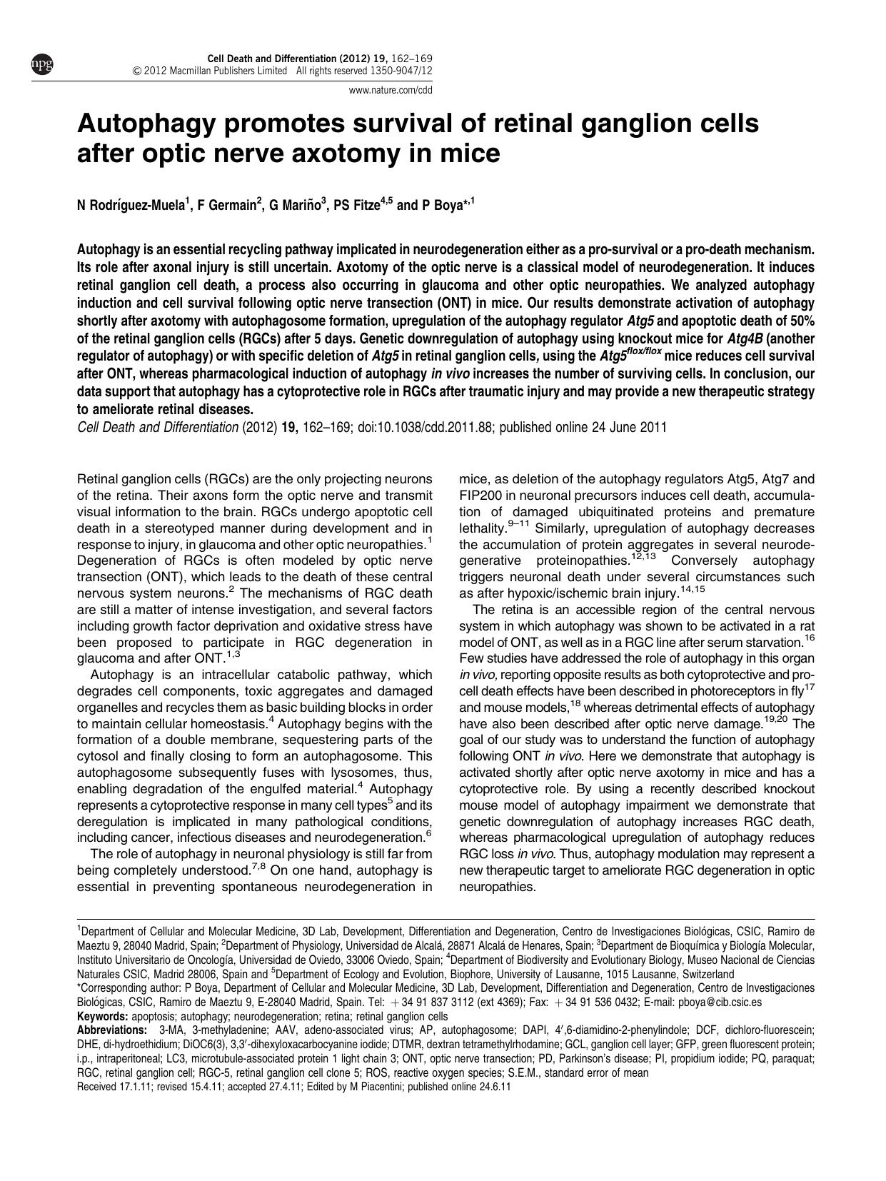 Autophagy promotes survival of retinal ganglion cells after optic nerve axotomy in mice by N Rodr&&iacute;guez-Muela & F Germain & G Mari&&ntilde;o & P S Fitze & P Boya &