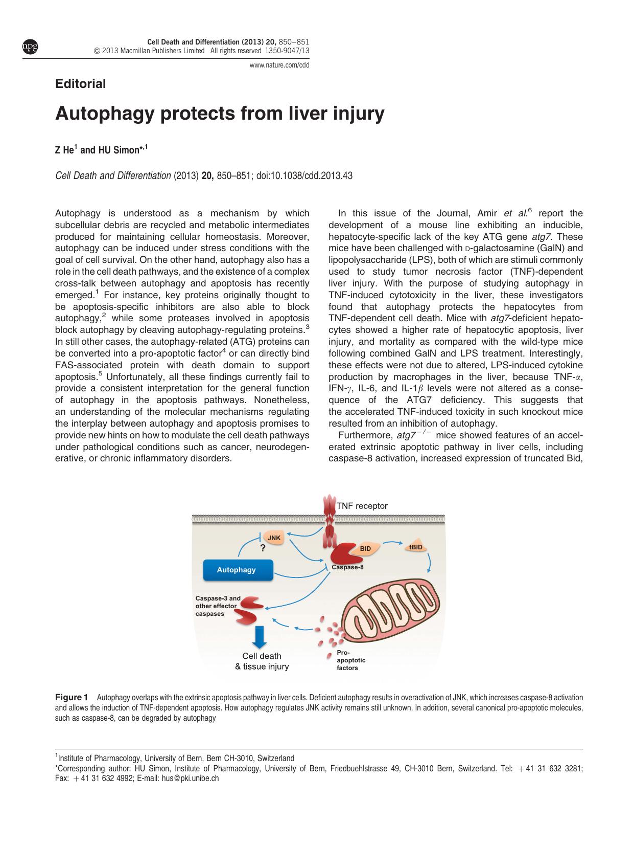 Autophagy protects from liver injury by Z He & H U Simon