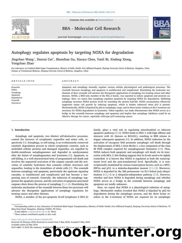 Autophagy regulates apoptosis by targeting NOXA for degradation by Jingchao Wang & Danrui Cui & Shanshan Gu & Xiaoyu Chen & Yanli Bi & Xiufang Xiong & Yongchao Zhao