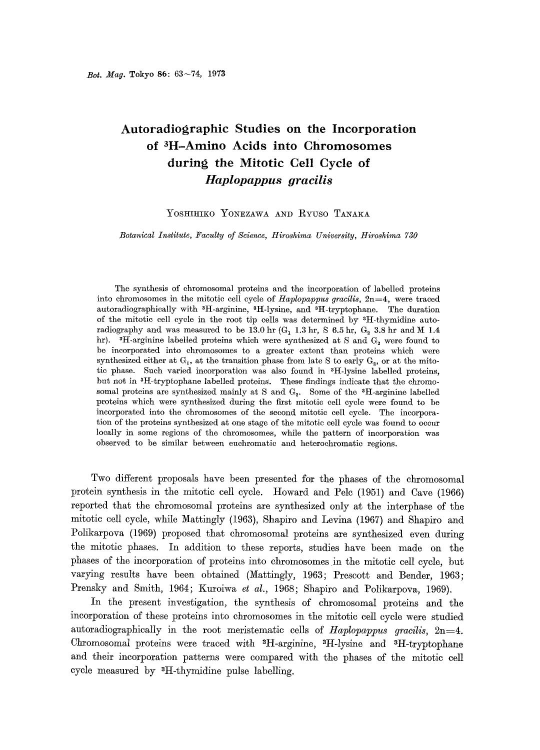 Autoradiographic studies on the incorporation of <Superscript>3 <Superscript>H-amino acids into chromosomes during the mitotic cell cycle of <Emphasis Type="Italic">Haplopappus gracilis <Emphasis> by Unknown