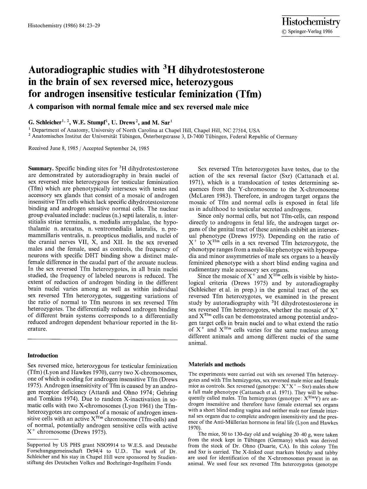 Autoradiographic studies with <Superscript>3<Superscript>H dihydrotestosterone in the brain of sex reversed mice, heterozygous for androgen insensitive testicular feminization (Tfm) by Unknown