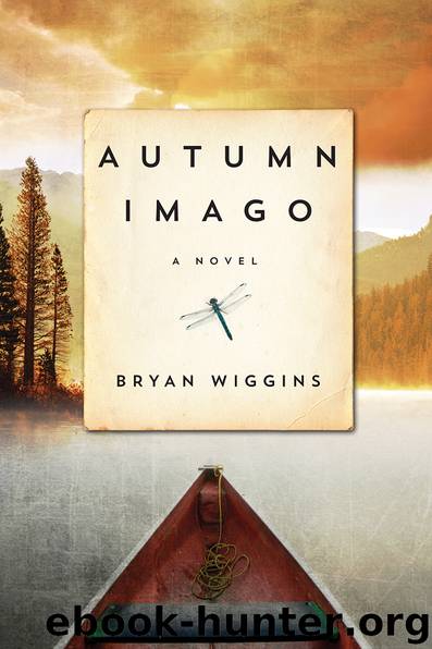 Autumn Imago by Bryan Wiggins