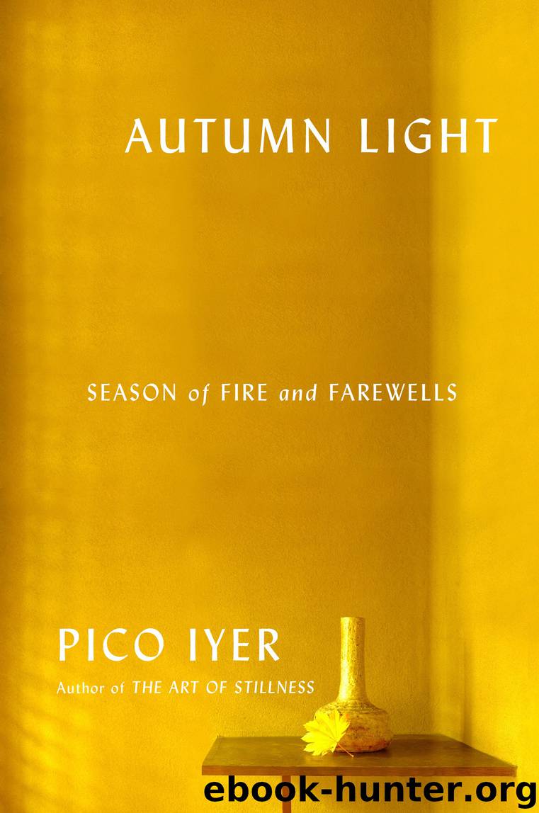 Autumn Light by Pico Iyer