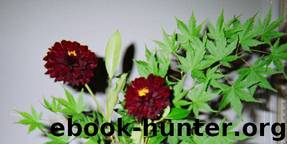 Autumn Willows by Tao Xue & Ye Li & Xuanji Yu